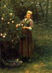 Daniel Ridgway Knight - Rosas de corte