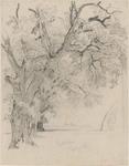 William Trost Richards - Hilera de árboles, Interlachen